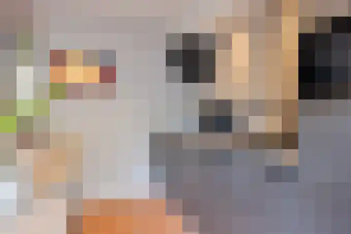 Kromstraat 5 Halsteren thumbnail 11