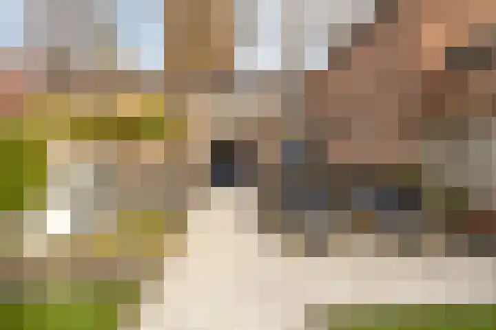 Kromstraat 5 Halsteren thumbnail 25