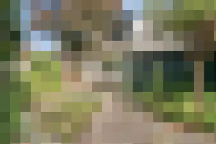 Kromstraat 52 Valkenswaard thumbnail 35