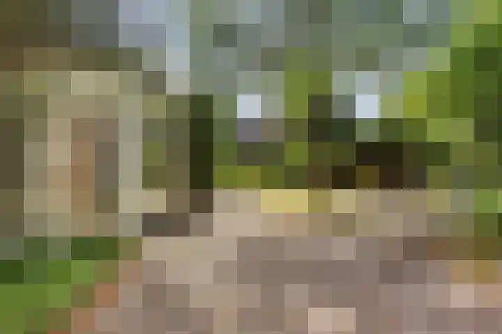 Kromstraat 52 Valkenswaard thumbnail 36