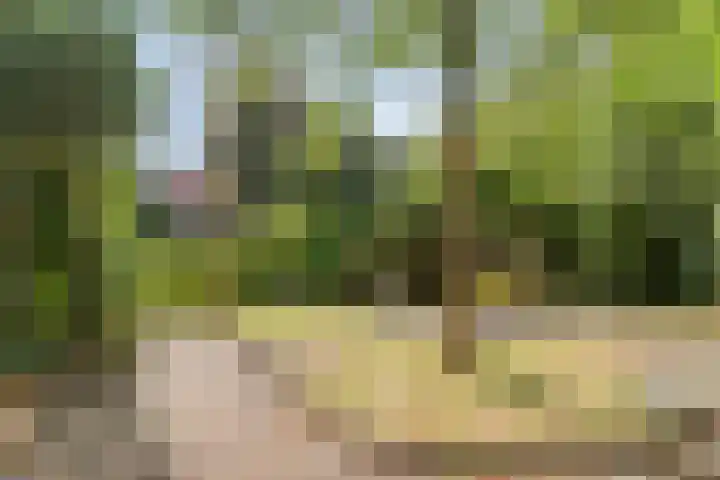 Kromstraat 52 Valkenswaard thumbnail 37
