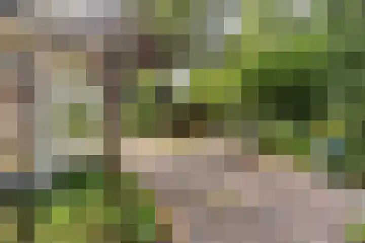 Kromstraat 52 Valkenswaard thumbnail 5
