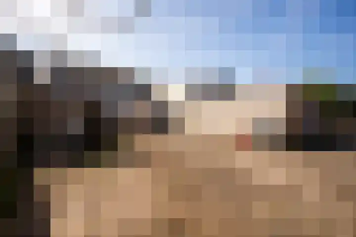 Kromstraat 7 Oss thumbnail 22
