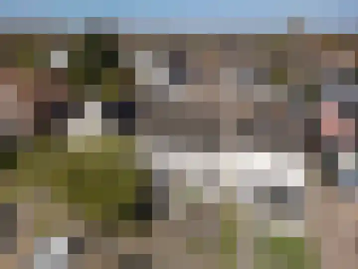 Kromstraat 7 Oss thumbnail 25