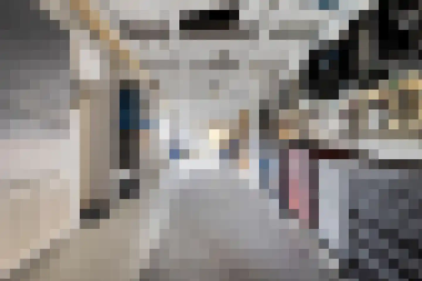 Kromstraat 75 Veldhoven thumbnail 26