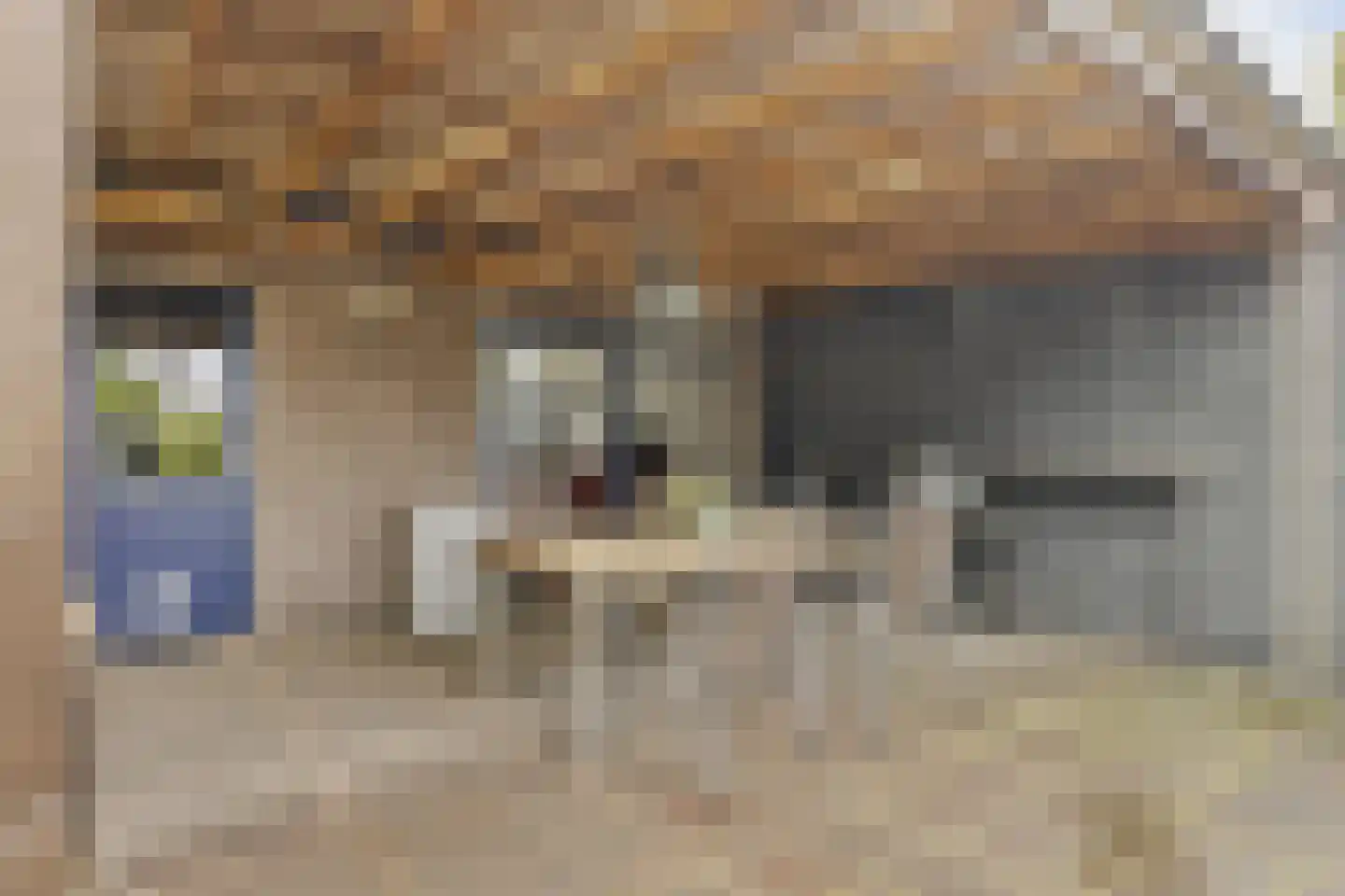 Kromstraat 75 Veldhoven thumbnail 39