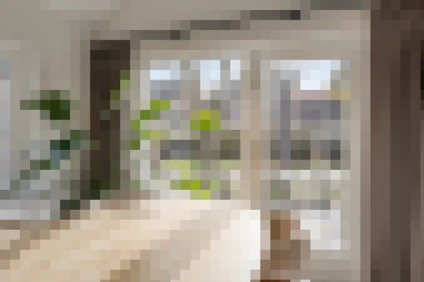 Kromstraat 8 a Nistelrode thumbnail 20