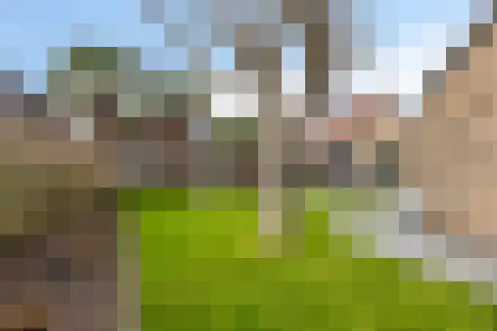 Kromstraat 8 a Nistelrode thumbnail 35