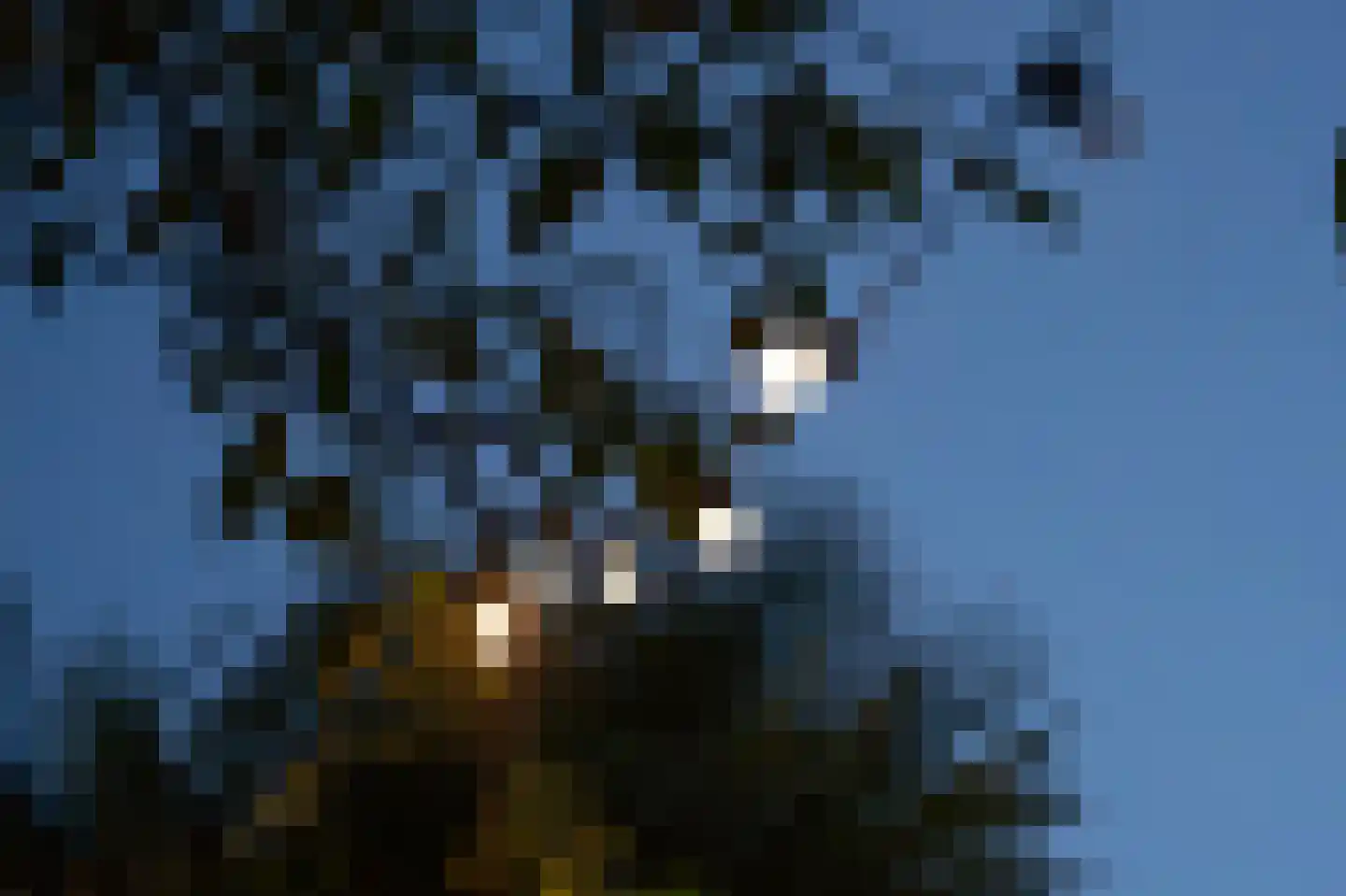 Kromstraat 8 a Nistelrode thumbnail 38