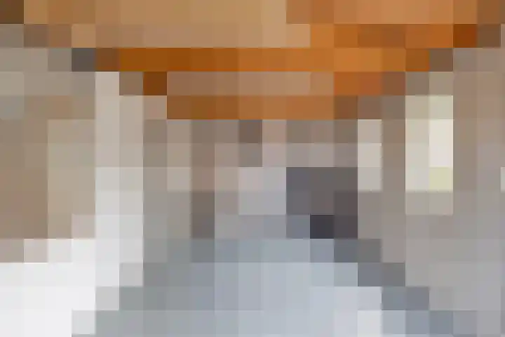 Kromstraat 8 a Nistelrode thumbnail 38