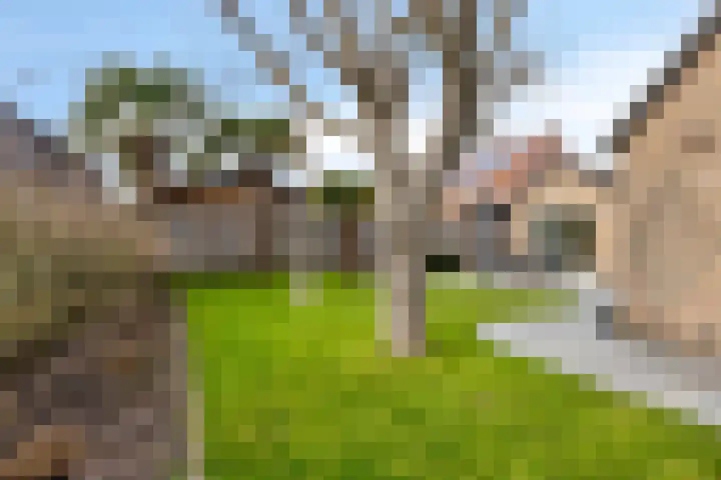 Kromstraat 8 a Nistelrode thumbnail 40