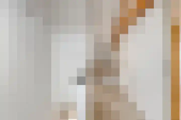 Kromstraat 8 Valkenswaard thumbnail 37