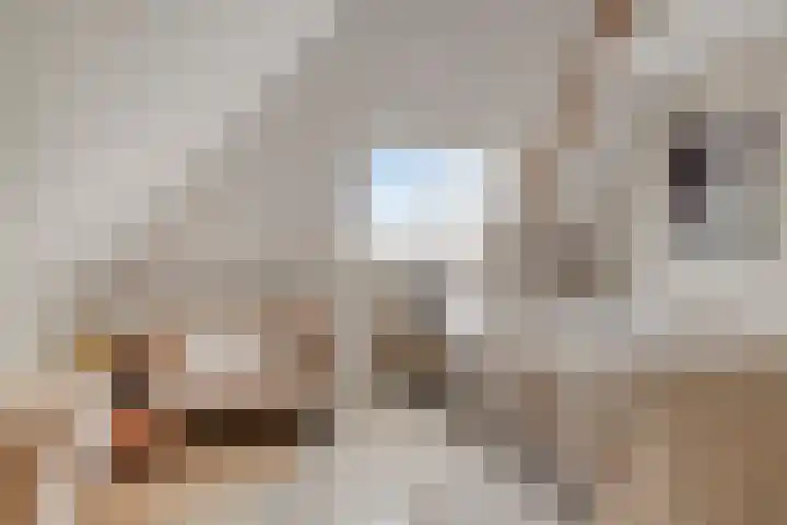 Kromstraat 8 Valkenswaard thumbnail 39