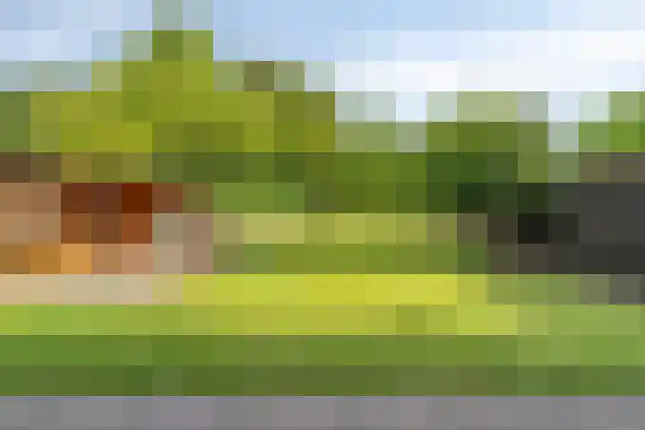 Kromstraat 8 Valkenswaard thumbnail 44