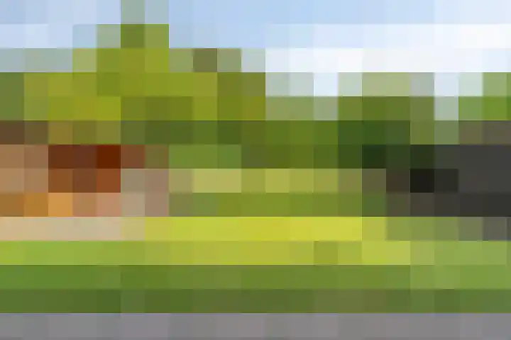 Kromstraat 8 Valkenswaard thumbnail 7