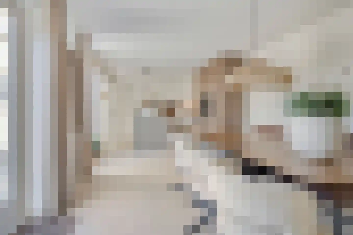 Kromstraat 86 B Oss thumbnail 15