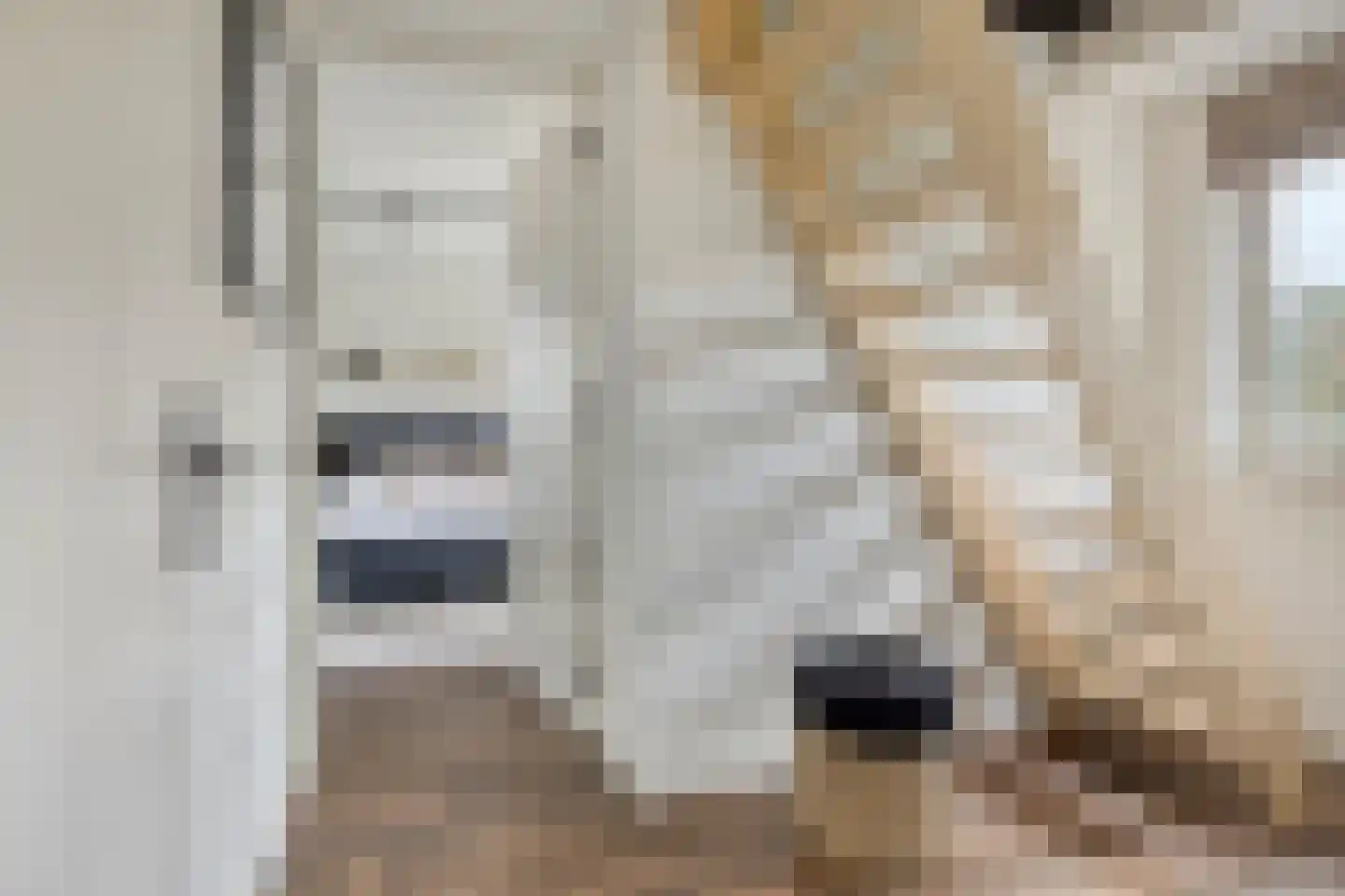 Kromstraat 86 B Oss thumbnail 21