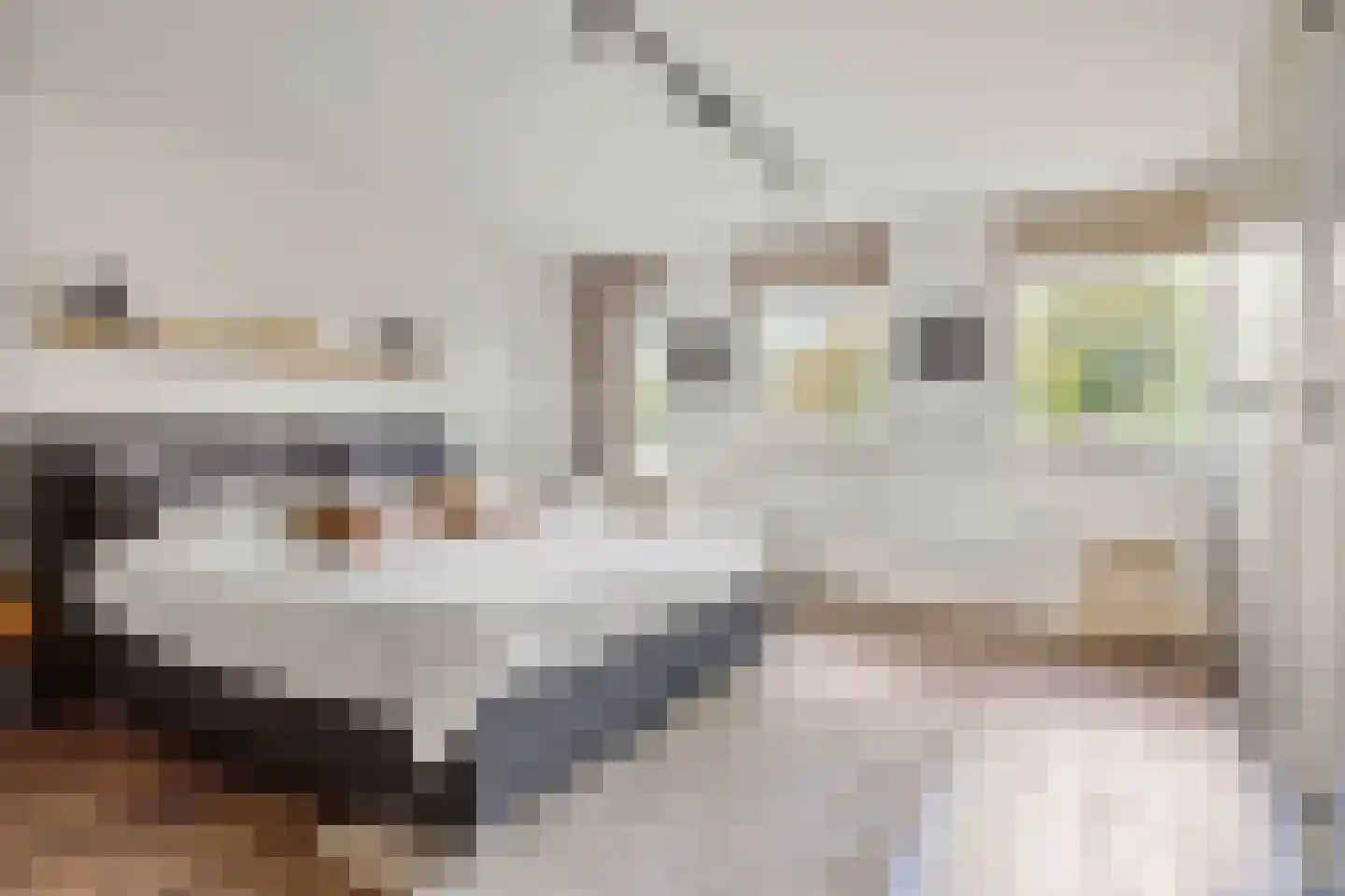 Kromstraat 86 B Oss thumbnail 22
