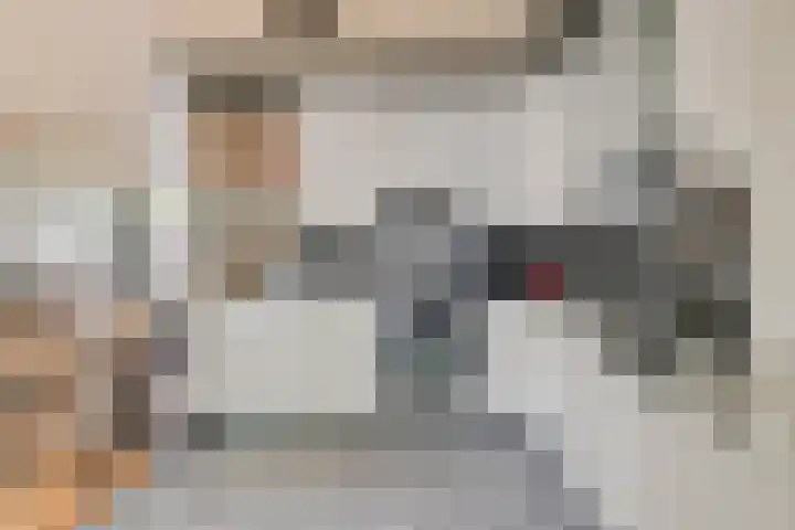 Kromstraat 9 Halsteren thumbnail 17