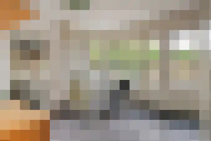 Kromstraat 9 Halsteren thumbnail 21