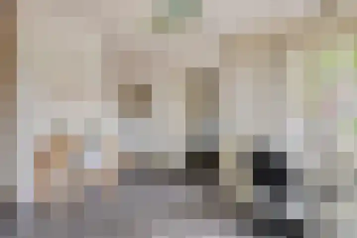 Kromstraat 9 Halsteren thumbnail 22