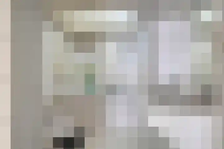 Kromstraat 9 Halsteren thumbnail 34