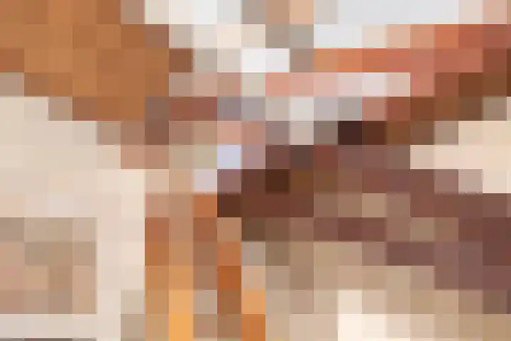 Kromstraat 9 Halsteren thumbnail 42