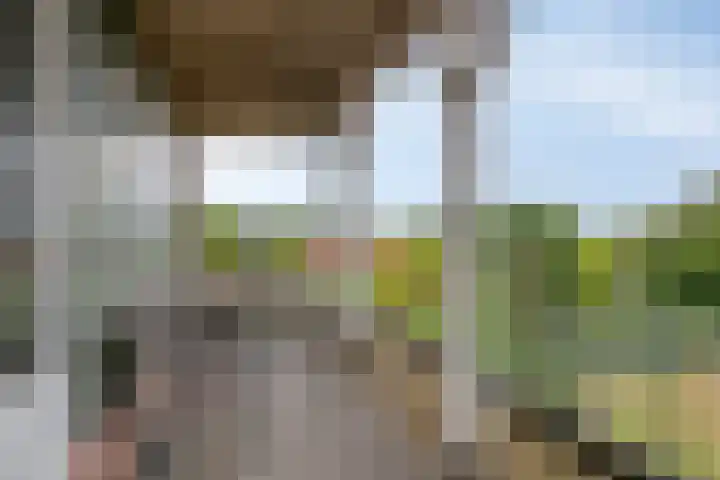 Kromstraat 9 Halsteren thumbnail 46