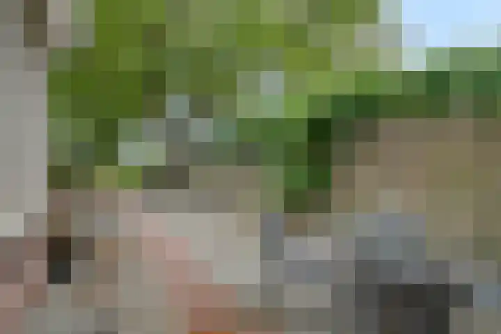 Kromstraat 9 Halsteren thumbnail 49