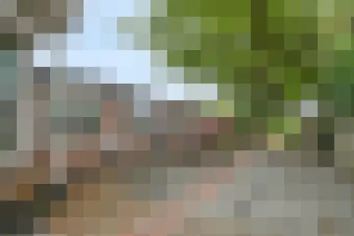 Kromstraat 9 Halsteren thumbnail 51