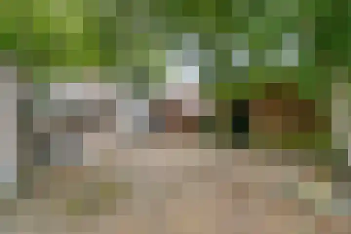 Kromstraat 9 Halsteren thumbnail 52