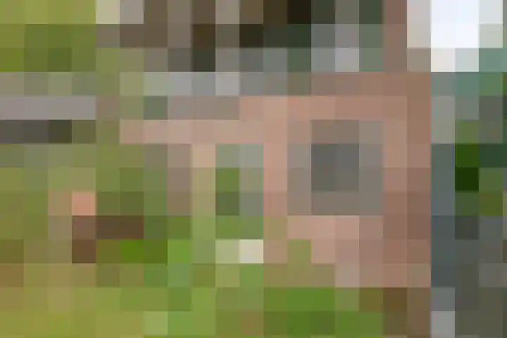 Kromstraat 9 Halsteren thumbnail 53