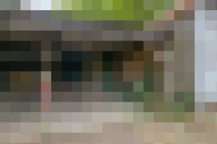 Kromstraat 9 Halsteren thumbnail 54