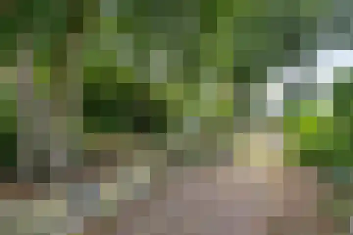 Kromstraat 9 Halsteren thumbnail 56