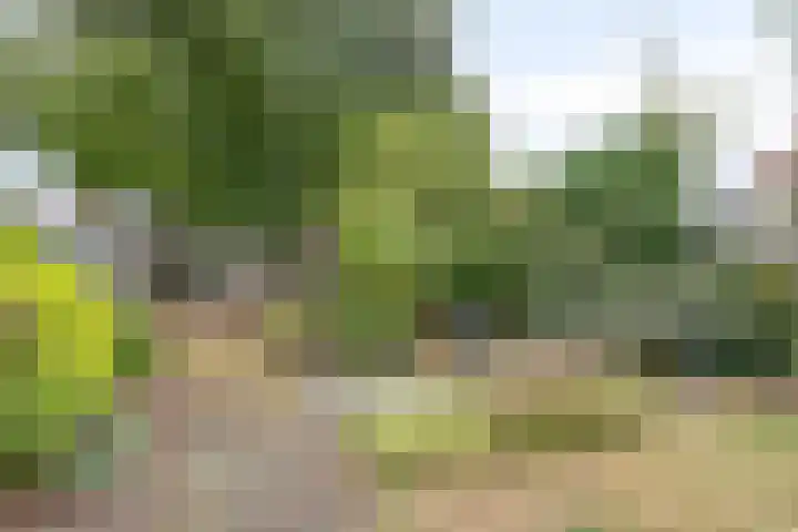 Kromstraat 9 Halsteren thumbnail 57