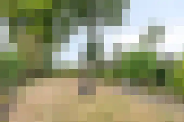 Kromstraat 9 Halsteren thumbnail 58
