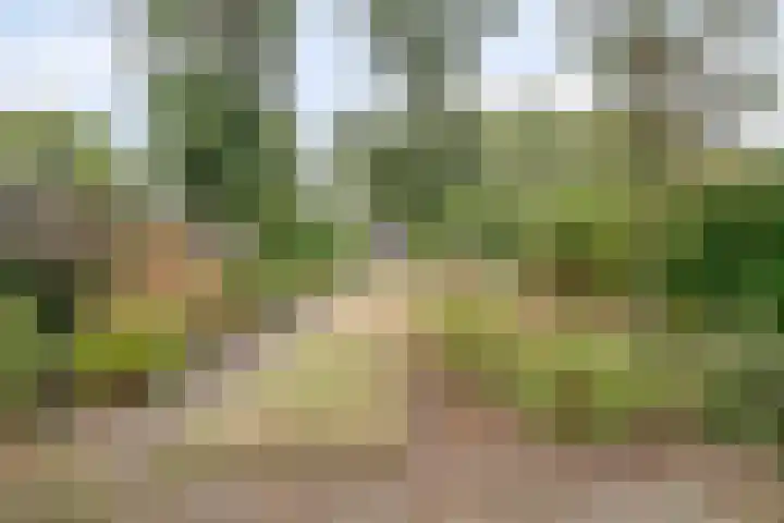 Kromstraat 9 Halsteren thumbnail 59