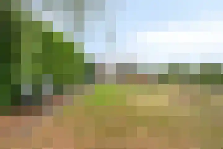 Kromstraat 9 Halsteren thumbnail 61