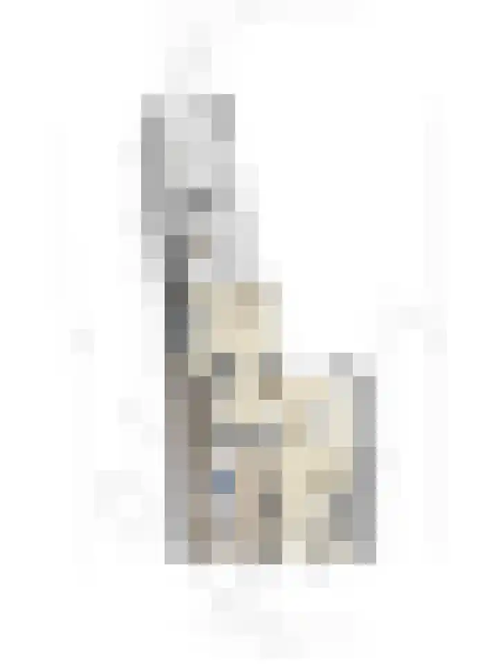 Kromstraat 9 Halsteren thumbnail 67