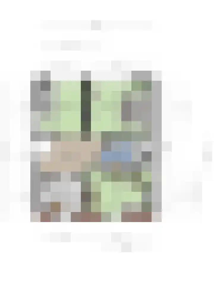 Kromstraat 9 Halsteren thumbnail 68