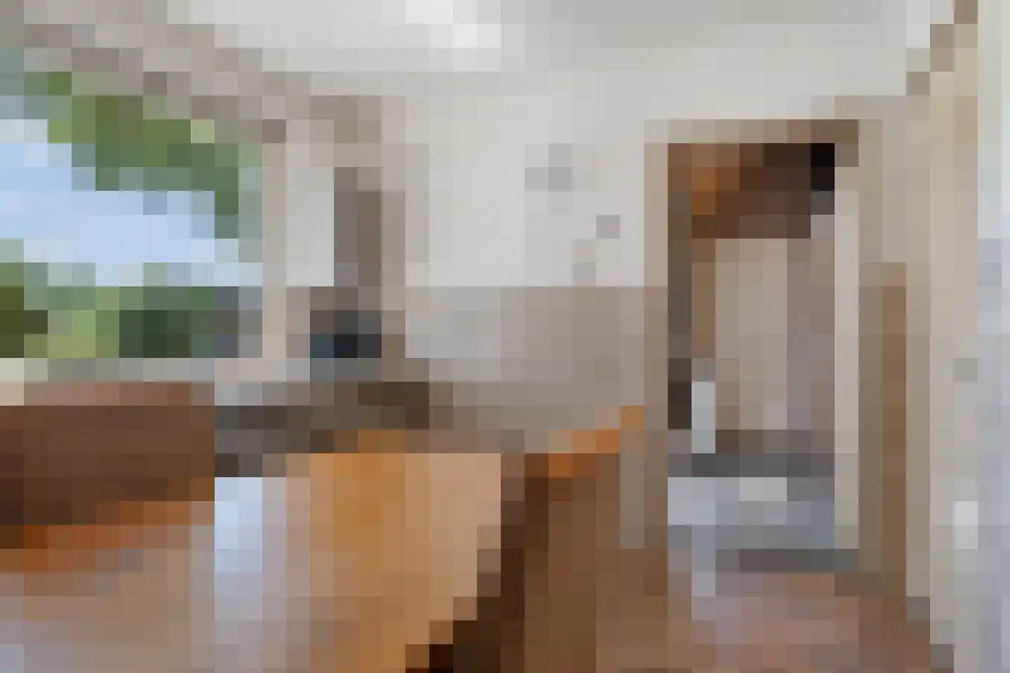 Kromstraat 9 Overlangel thumbnail 12