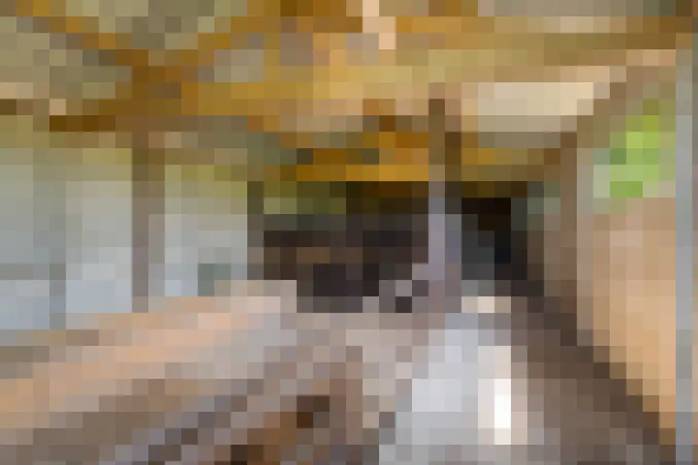 Kromstraat 9 Overlangel thumbnail 24