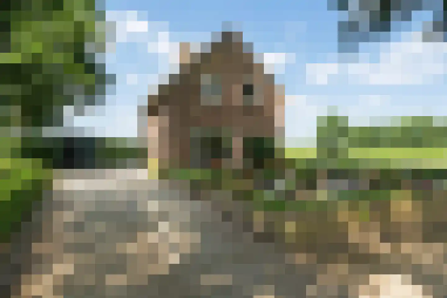 Kromstraat 9 Overlangel thumbnail 32