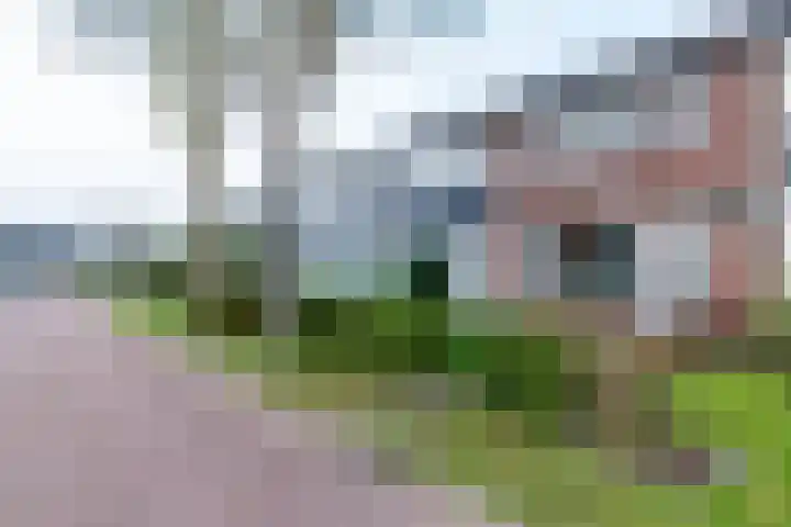 Kromveen 17 Eext foto 3