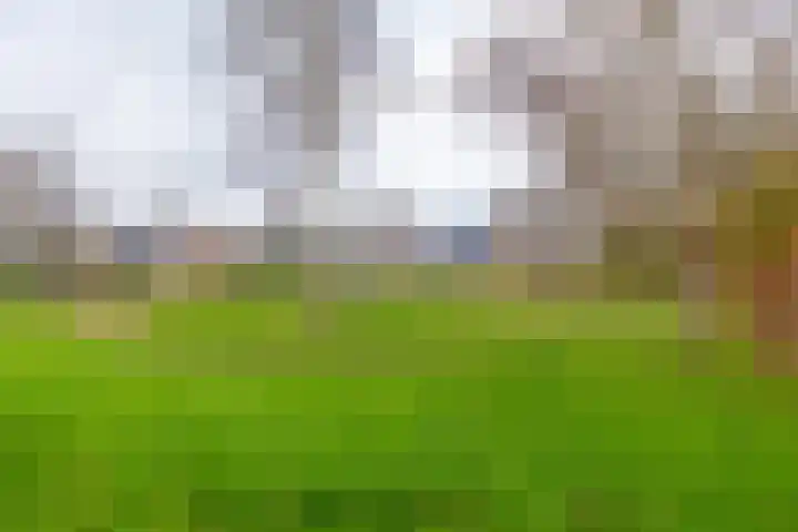 Kromveen 17 Eext thumbnail 30