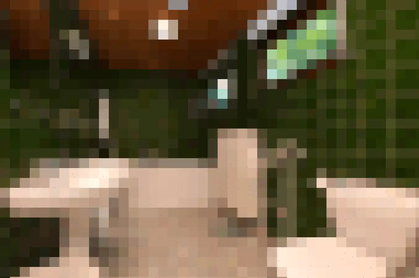 Kromveld 11 Deurne thumbnail 17