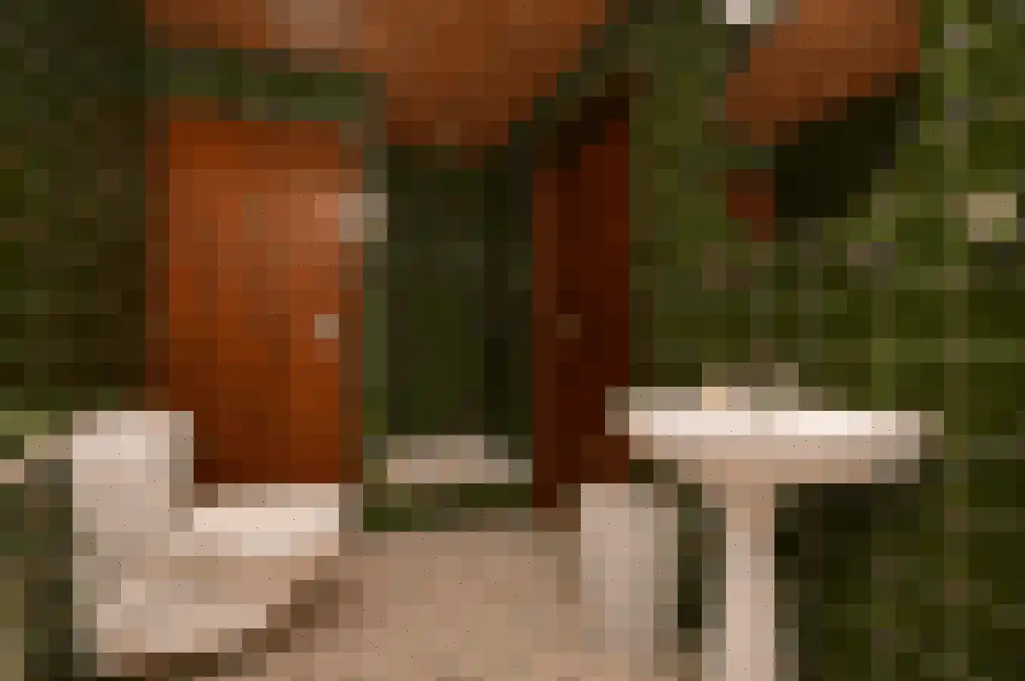 Kromveld 11 Deurne thumbnail 19