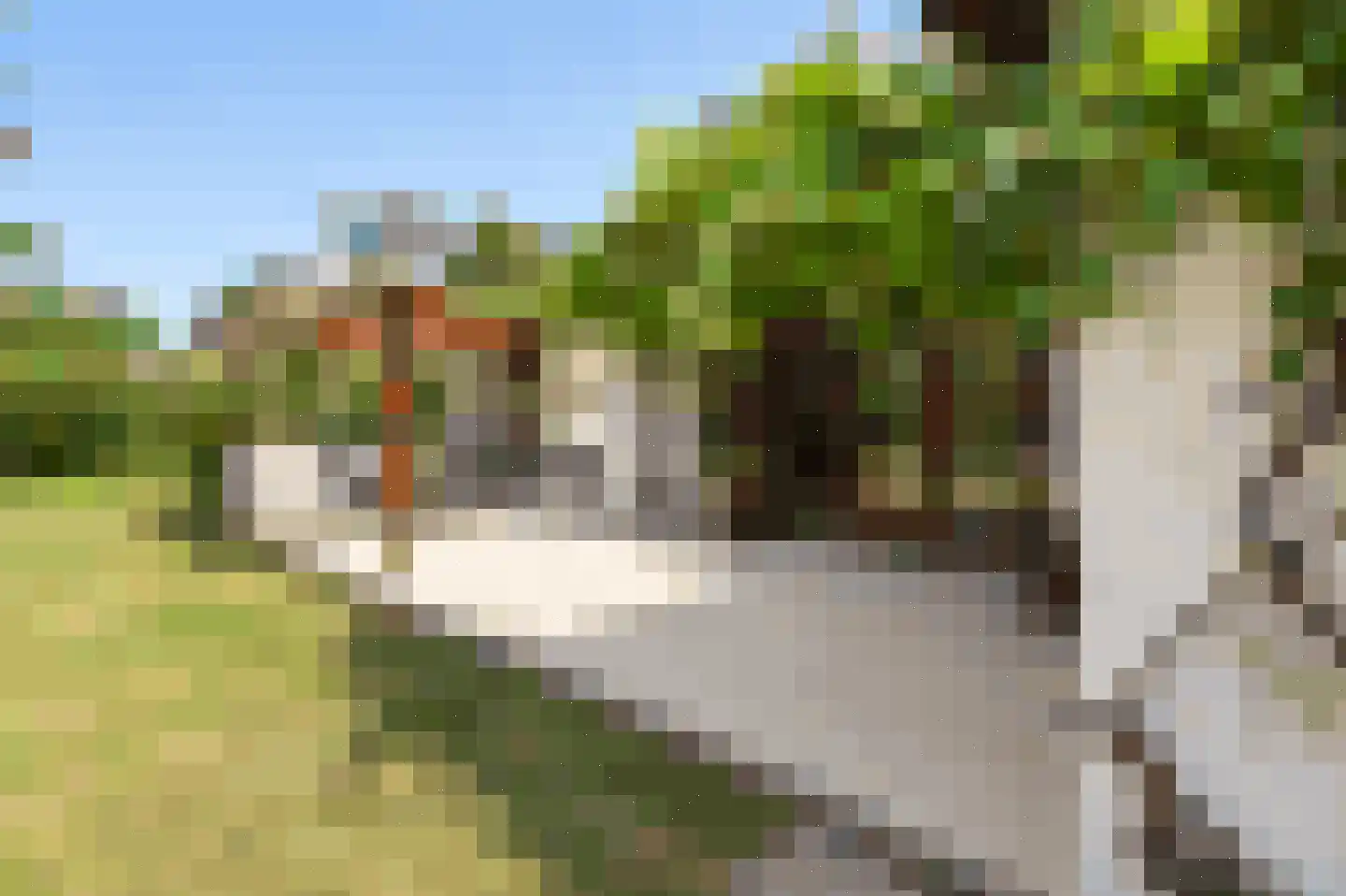 Kromveld 11 Deurne thumbnail 24