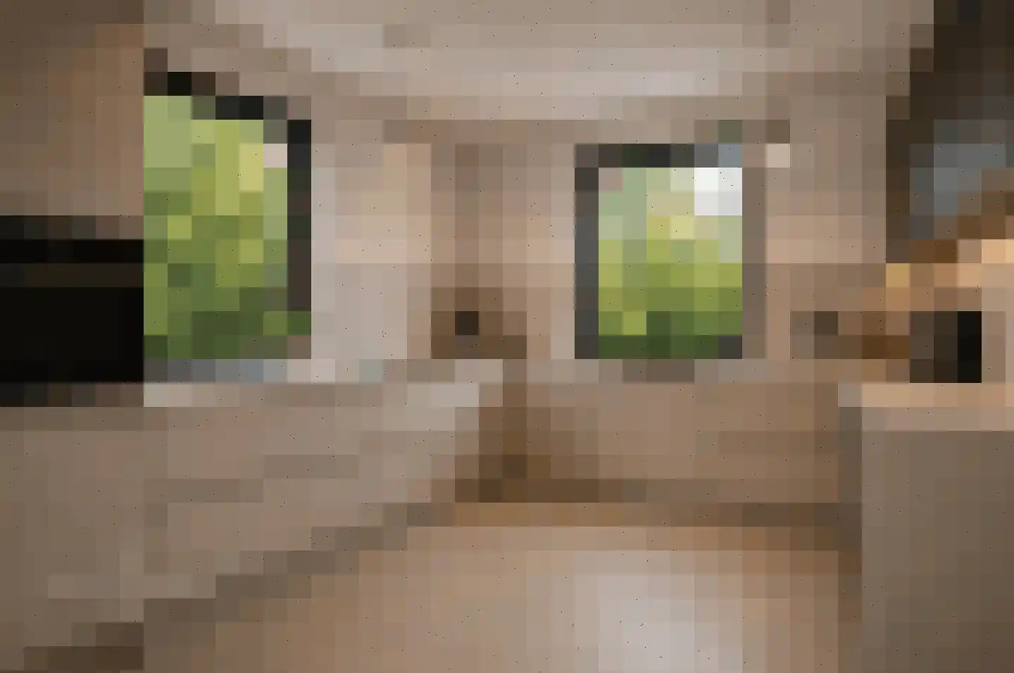 Kromveld 11 Deurne thumbnail 4