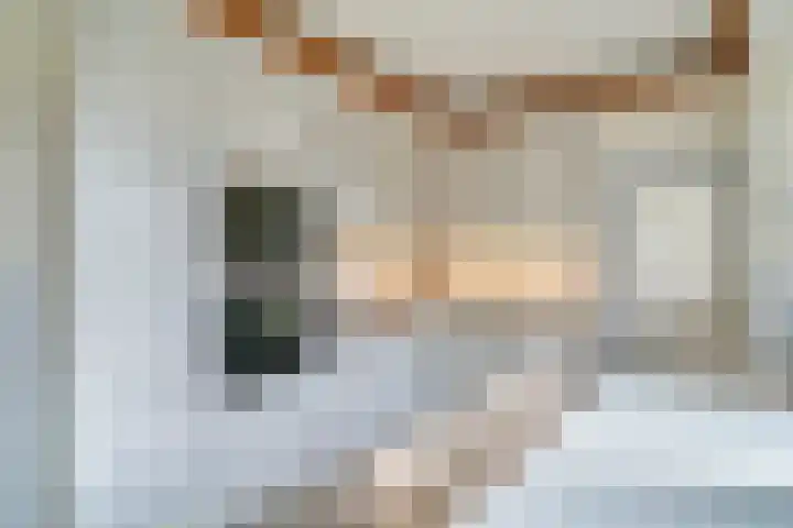 Kromveld 2 Deurne thumbnail 10
